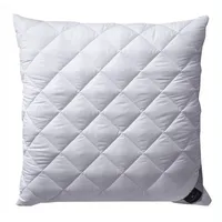 Billerbeck Classic-Clean Kissen
