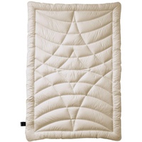 Billerbeck Climatraum Bettdecke duo-plus -