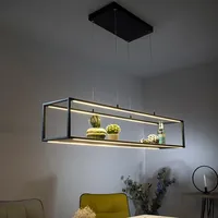 Paul Neuhaus LED-Pendelleuchte Contura Alu, Eisen, Stahl & Metall