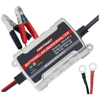 Dino Kraftpaket 6V/12V 750mAh 136303]