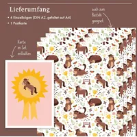 Dabelino Geschenkpapier-Set für Kinder: Pferde / Reiten