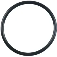 KS Tools O-Ring