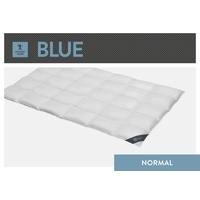 SPESSARTTRAUM »Blue«, normal, Füllung: 60% Daunen, 40% Federn, Bezug: