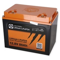 LIONTRON Lithium LiFePo4 Akku 14,5 kg 12.8V 80Ah mit