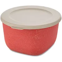 Koziol CONNECT BOX 1 mit Deckel, 1 Liter, 7870703