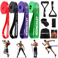 NOONCRAZY Resistance Bands, 4 Verschiedene Ebenen Widerstandsbänder mit Türanker