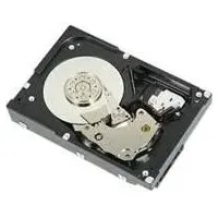 Dell Festplatte 2 TB (2 TB, 3.5"), Festplatte