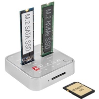 DeLock Dockingstation für 1 x M.2 NVMe SSD -