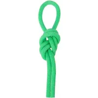 Salewa Speed Queen 9.1 Kletterseil (Größe 60M, gruen)