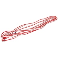 Salewa Dyneema Sling red (1125) 120