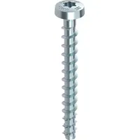 Heco MULTI-MONTI-plus P Halbrundkopf 6 x 50 100 Stück