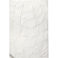 Kauffmann Wildseide Sommer-Bettdecke - 155x200cm