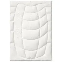 Kauffmann Wildseide Sommer-Bettdecke