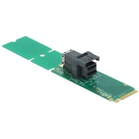 DeLock Adapter M.2 Key M SFF-8643 NVMe 22110 /