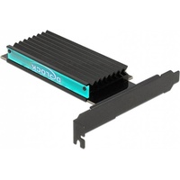 DeLock 89013 PCI-Express Karte M.2 PCIe
