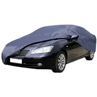 HP Autozubehör 18161 Ganzgarage (L x B x H)
