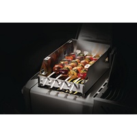 Napoleon Windschutz groß Edelstahl grau