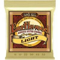 Ernie Ball 2004 Earthwood Light