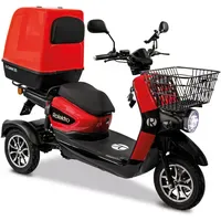 Rolektro E-Carrier 25 V.3 1000 Watt 25 km/h rot