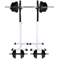 VidaXL Kniebeugen-/Langhantelständer mit Hantel-Set 60,5 kg