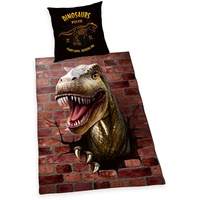 Herding Dino 3D Bettwäsche, Kopfkissenbezug ca. 80x80 cm, Bettbezug