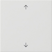 Gira Wippe 1-fach 538903