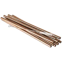 APS Trinkhalme Edelstahl kupfer inkl. Reinigungsbürste