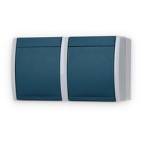 Busch-Jaeger 20/2 EW-53 SCHUKO® Steckdose 2-fach