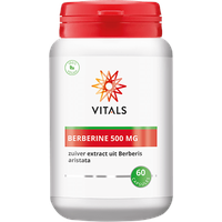 Vitals Berberin 500 mg Kapseln 60 St.