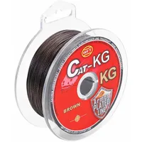 WFT Catfish brown 300m 0.40 mm: 35kg braun 40/100