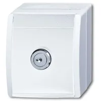 Busch-Jaeger 20 EWSL-101-54 SCHUKO® Steckdose alpinweiß