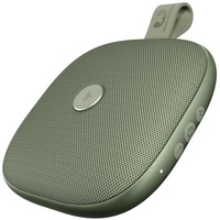 Fresh 'n Rebel Rockbox Bold XS dried green