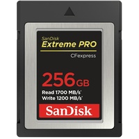 SanDisk CF Express Type 2 256GB Extreme Pro SDCFE-256G-GN4NN