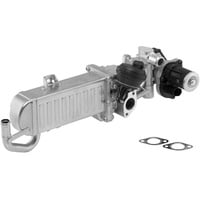 BorgWarner AGR-Modul OE-Version/Erstausrüstung mit Dichtungen