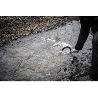 Petromax schmiedeeiserne Pfanne Ø 20 cm