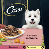 Cesar Selektion Fleisch und Gemüse in Sauce 12 x