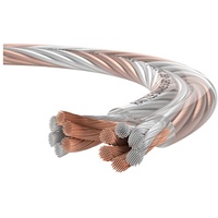Oehlbach D1C351 Lautsprecherkabel 2 x 3 mm2 Transparent 1