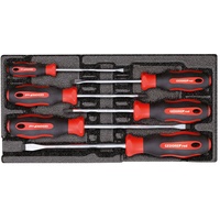 Gedore R22150013 Schraubendrehersatz PH+SL 2/6 CT-Modul 6-teilig