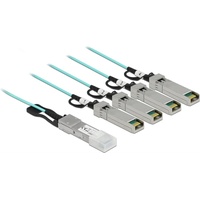 DeLock Direct Attach Kabel Optisches QSFP+/4x SFP+ 3 m