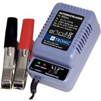 H-Tronic AL 300 PRO 2 V, 6 V, 12
