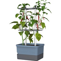 Gusta Garden Charly Chili 10 L blau