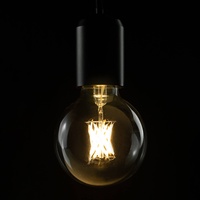 Segula LED-Globe G80 E27 6,5W 2.700K dimmbar klar