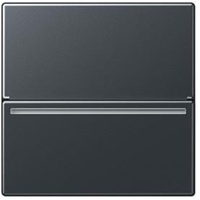 Jung Hotelcard-Schalter RFID, anthrazit matt
