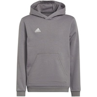 Adidas Entrada 22 Hoodie Kinder grau 152