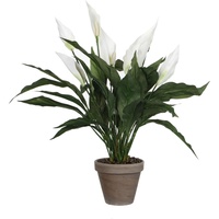 Mica decorations Mica Kunstpflanze Spathiphyllum weiß im Topf 11,5