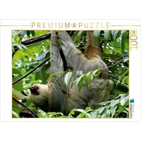 Calvendo Faultier Puzzle