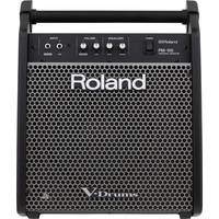 Roland PM-100 Personal Monitor