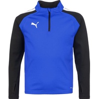 Puma teamLIGA 1/4 Zip Top Kinder blau 116