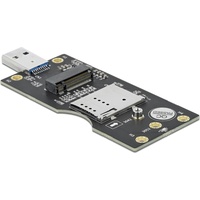 DeLock 63166 Schnittstellen-Konverter 1