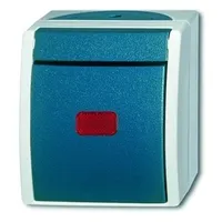 Busch-Jaeger Kontrollwechselschalter AP 2601/6 SKW-53